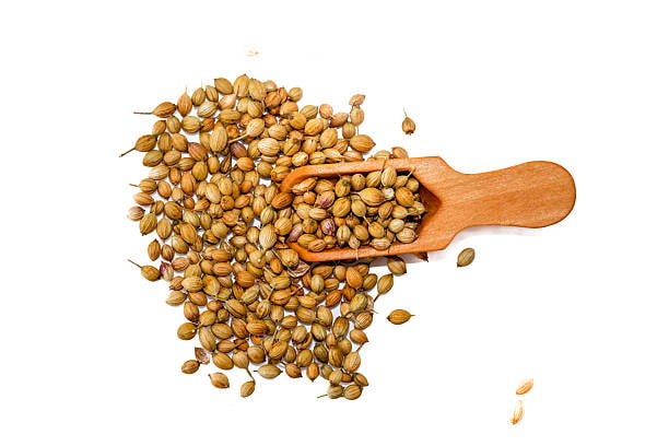 تصویر 1 از قیمت خرید تخم گشنیز ترد + فروش ویژه